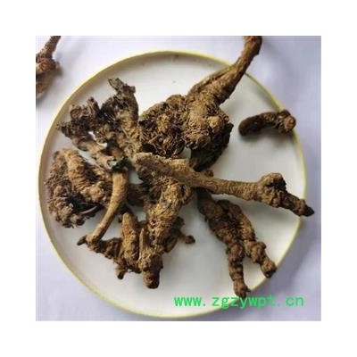 黄连 黄连单枝统货 产地 四川省