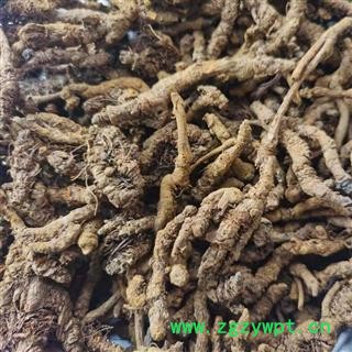 黄连 黄连单枝统货 产地 四川省图2