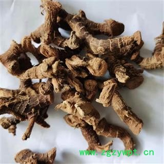 高良姜 高良姜选个 产地 广西壮族自治区图2