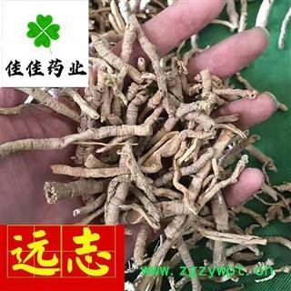 远志 抽芯率90%以上 远志肉 无硫货 一分价一分货 产地 山西省图3