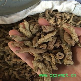亳州花田错药业 纯干存货巴戟肉 选装 产地 广东省揭阳市揭东县图2