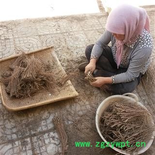 精选一级土柴胡   芦头一公分去细毛精选   质地、加工度、皮色全部精选   甘肃省陇南市宕昌县图3