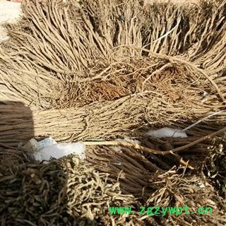 柴胡 精选多年生高品质藏柴胡 产地 甘肃省陇南市宕昌县图4