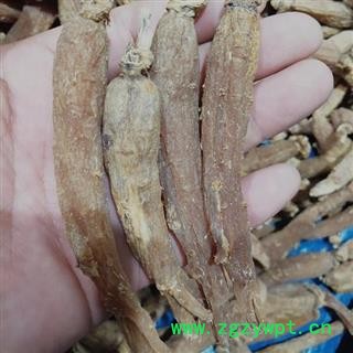 红参 红参纯无糖80支以上 产地 吉林省白山市抚松县图2