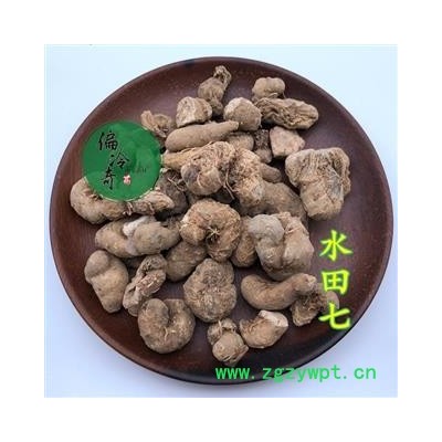 水田七 统 产地 广西壮族自治区 库存 300公斤可售 买家承担运费