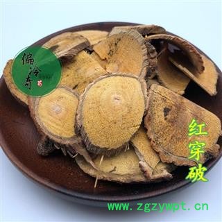 红穿破石 血风藤 青筋藤 铁牛入石 红川破石 统 产地 广西壮族自治区图2