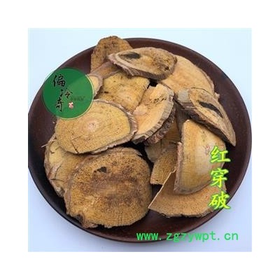 红穿破石 血风藤 青筋藤 铁牛入石 红川破石 统 产地 广西壮族自治区