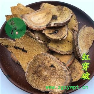 红穿破石 血风藤 青筋藤 铁牛入石 红川破石 统 产地 广西壮族自治区图3