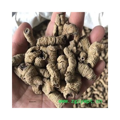 巴戟天 巴戟肉精选货 产地 广东省 小影全品类中药材店铺