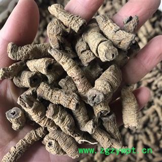 巴戟天 巴戟肉精选货 产地 广东省 小影全品类中药材店铺图2