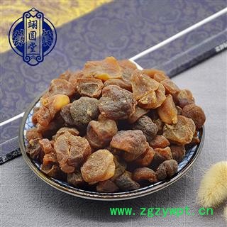 土贝母 选 产地 河北省图2