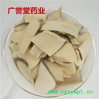 毛冬青 毛冬青统片 产地 云南省图2