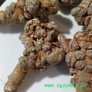 《满198包邮》三七 三七20头直销水洗20头三七，标准20田七纯干无农药残留 产地 云南省图3