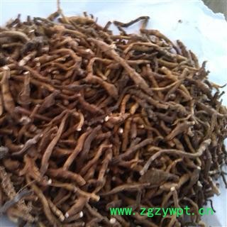 《满198包邮》九节菖蒲 九节菖蒲净货 产地 陕西省图3