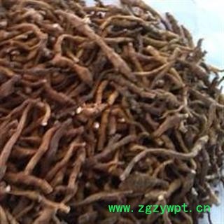 《满198包邮》九节菖蒲 九节菖蒲净货 产地 陕西省图2