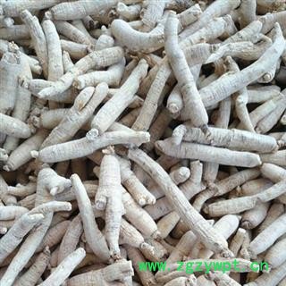 《满198包邮》西洋参 西洋参  西洋参每支10克-12克 精选货 外形漂亮  产地 吉林省图3