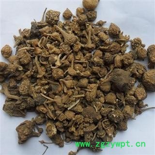 珠子参 选 产地 云南省丽江市华坪县 库图2