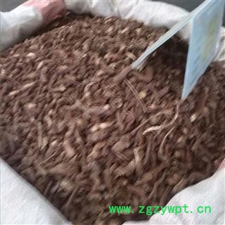 丹参 统 产地 安徽省亳州市谯城区图2