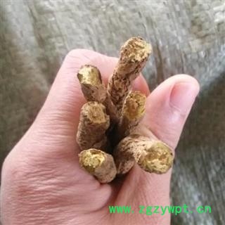 秦岭野生优质黄芩根条黄芩个子山民采摘自刨 日晒风干无硫 1000g图3