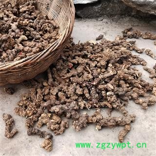 秦岭野生苍术500g整棵南苍术块苍术 野生茅苍术 中药材苍术粉熏烟图4
