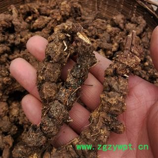 秦岭野生苍术500g整棵南苍术块苍术 野生茅苍术 中药材苍术粉熏烟图3