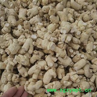 西洋参 西洋参粒头5克左右产地直供 产地 吉林省白山市抚松县图2