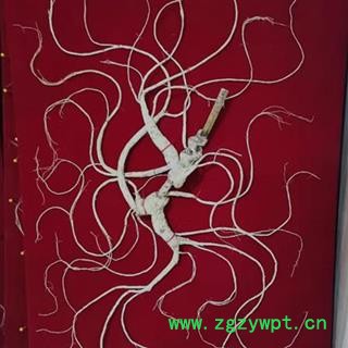 人参 长白山40年林下山参精美礼盒国家权威鉴定产地直供 产地 吉林省白山市抚松县图2