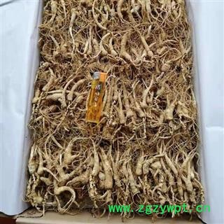 人参 长白山25年林下山参打粉料可打粉入药产地直供 产地 吉林省白山市抚松县图2