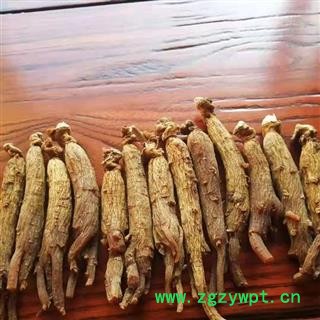 红参 纯无糖红参20-25支产地直供支持货到付款 产地 吉林省白山市抚松县图2