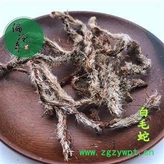 白毛蛇 草石蚕 石奇蛇 石上蚂蟥 马骝尾 统 产地 广西壮族自治区图3