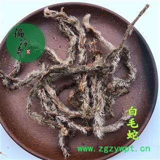 白毛蛇 草石蚕 石奇蛇 石上蚂蟥 马骝尾 统 产地 广西壮族自治区图2