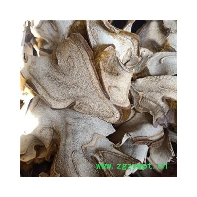 狗脊 金毛狗脊 大片 产地 广西壮族自治区 小影中药材店铺