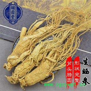 生晒参 人参大条图2