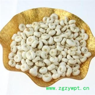 平贝母 统 产地 吉林省长春市市辖区 库图2