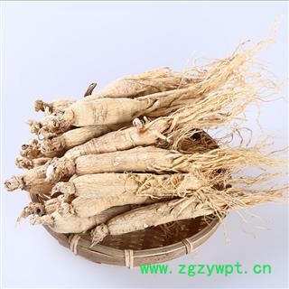 人参 生晒参35支 产地 吉林省 双鹏药材行 可提供打粉图2