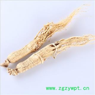 人参 生晒参35支 产地 吉林省 双鹏药材行 可提供打粉图3