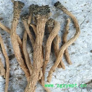 秦岭山地板蓝根中药材板蓝根板蓝根片清热下火板兰根精选无硫1000g图4