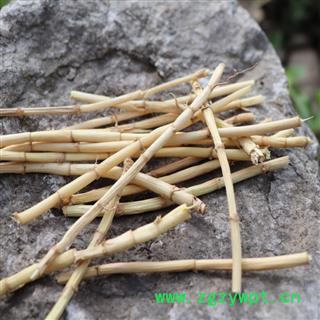 秦岭野生白茅根白毛根 中药材白茅根 2020年新货500g干白茅根图2