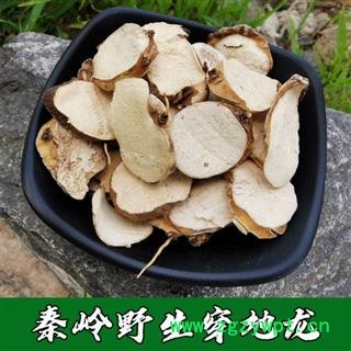 秦岭纯野生穿地龙 中药材穿地龙 穿山龙 地龙骨泡酒 串地龙500g图2