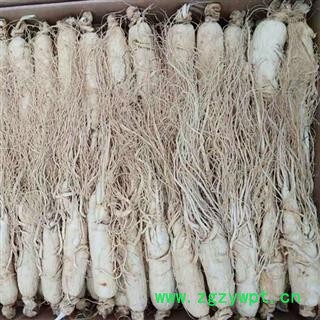 人参 生晒参16支符合2020版药典标准无虫蛀无流产地直供支持货到 产地 吉林省白山市抚松县图2