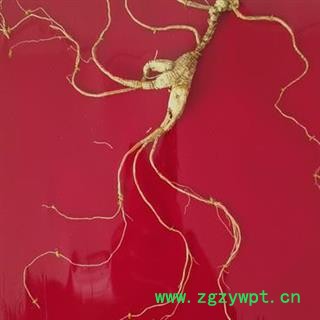 人参 长白山25年林下山参精美礼盒国家权威鉴定产地直供 产地 吉林省白山市抚松县图2