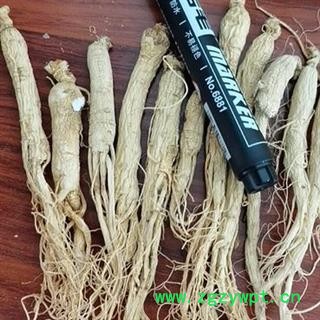 生晒参 生晒参小货符合2020版药典标准产地直供 产地 吉林省白山市抚松县图2