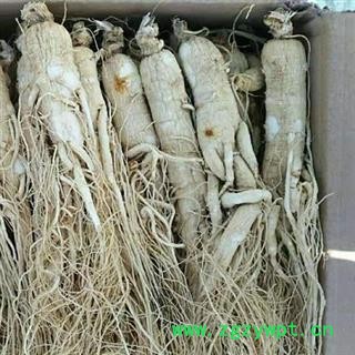 生晒参 生晒参20-25支无流无虫蛀达到2020版药典标准产地直供支 产地 吉林省白山市抚松县图2