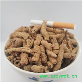 巴戟肉&【国舜堂】巴戟天小选 一手货源 中药材批发 规格齐全 量大从优【巴戟肉】图2