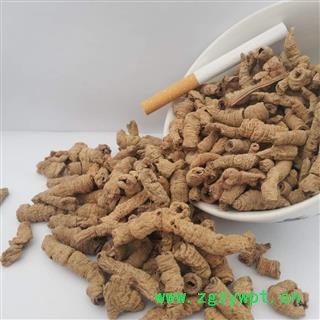 巴戟肉&【国舜堂】巴戟天小选 一手货源 中药材批发 规格齐全 量大从优【巴戟肉】图4