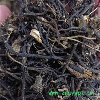 威灵仙 威灵仙根 2.5号筛 纯净货 产地 辽宁省 小影全品类中药材店铺图3