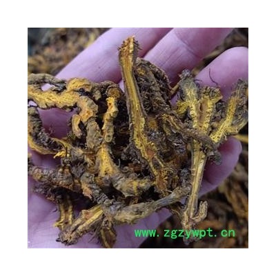 黄连 黄连片 3个筛以上选货 另售有 单支连个 鸡爪连个  产地 四川省 小影全品类中药材店铺