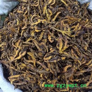 黄连 黄连片 3个筛以上选货 另售有 单支连个 鸡爪连个  产地 四川省 小影全品类中药材店铺图2