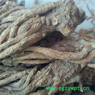 水洗无硫当归 个 产地 甘肃省定西市岷县 双鹏药材行 可提供打粉图2