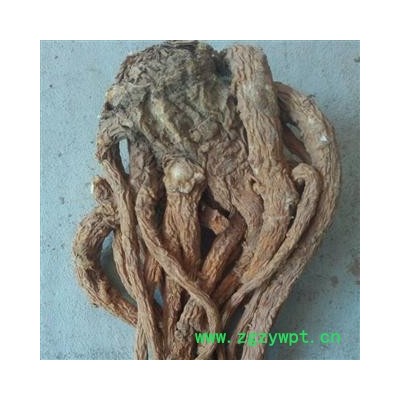 水洗无硫当归 个 产地 甘肃省定西市岷县 双鹏药材行 可提供打粉